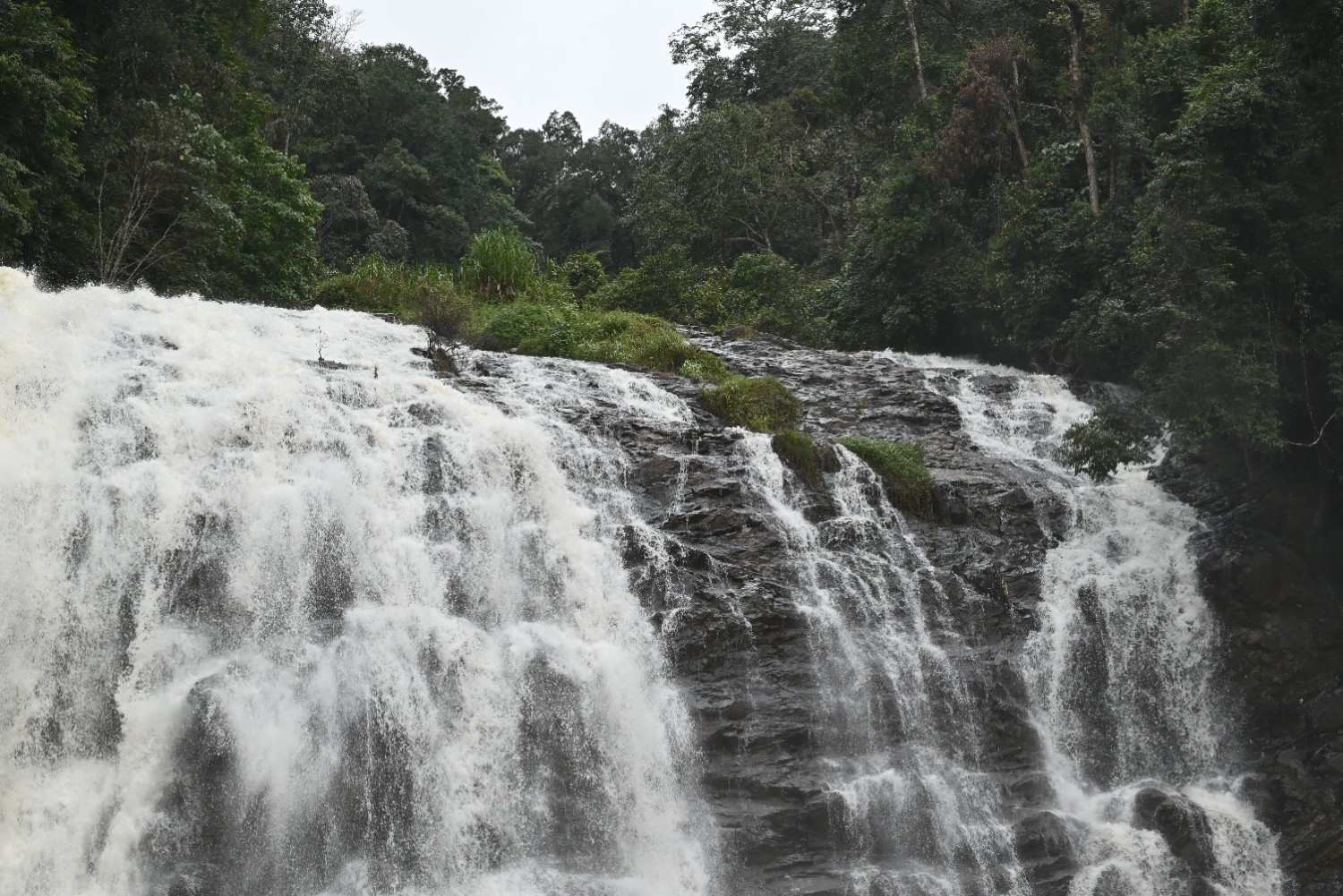 Read more about the article MADIKERI COORG 4 DAYS