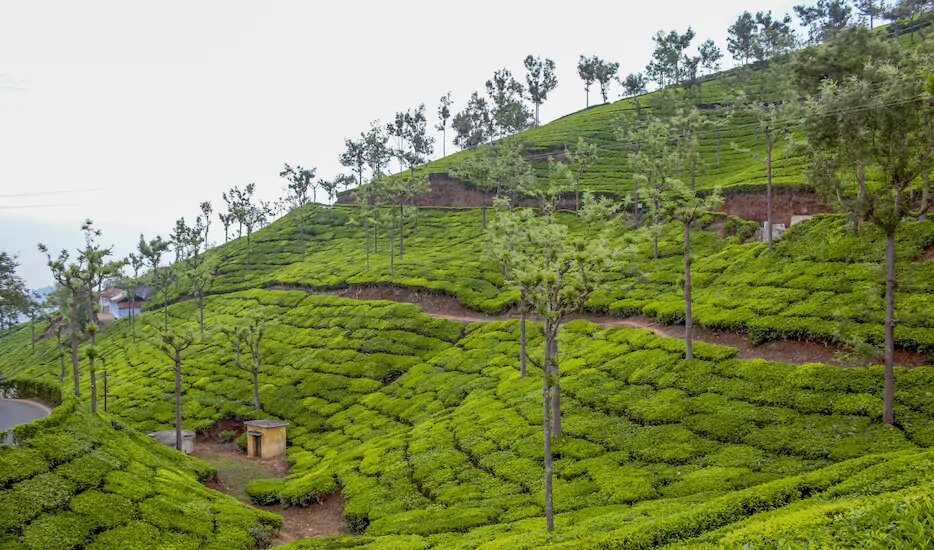 Read more about the article Beautiful Ooty 3 Days