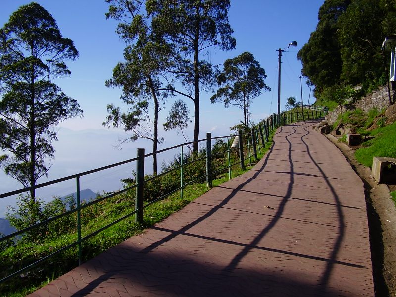 Read more about the article Scenic Kodaikanal 3 days