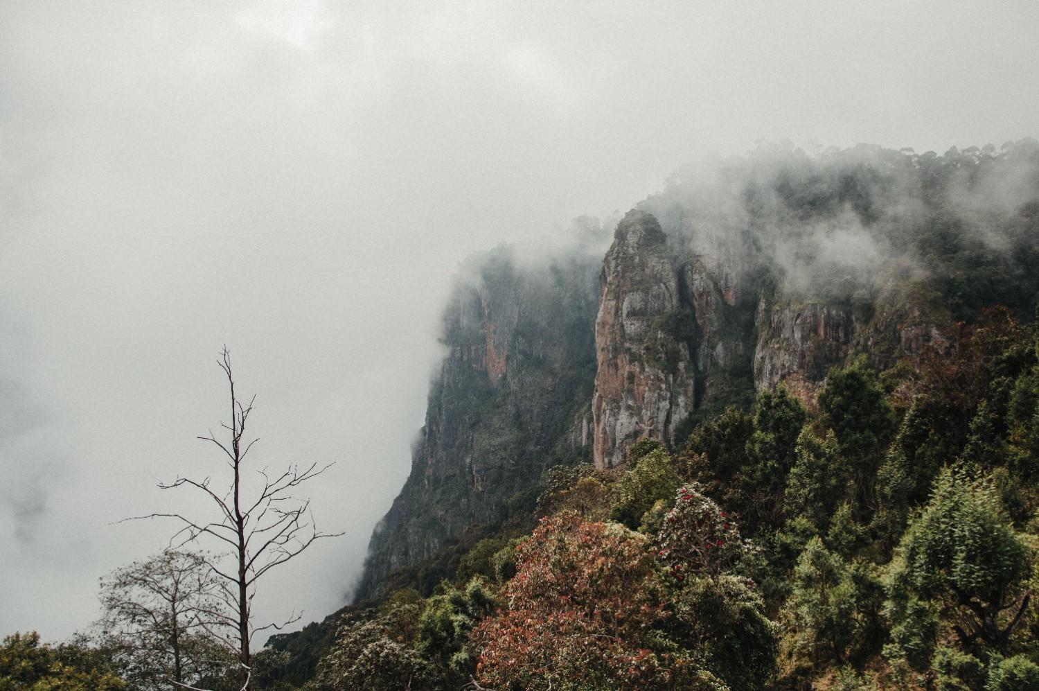 Read more about the article Scenic Kodaikanal 3 days