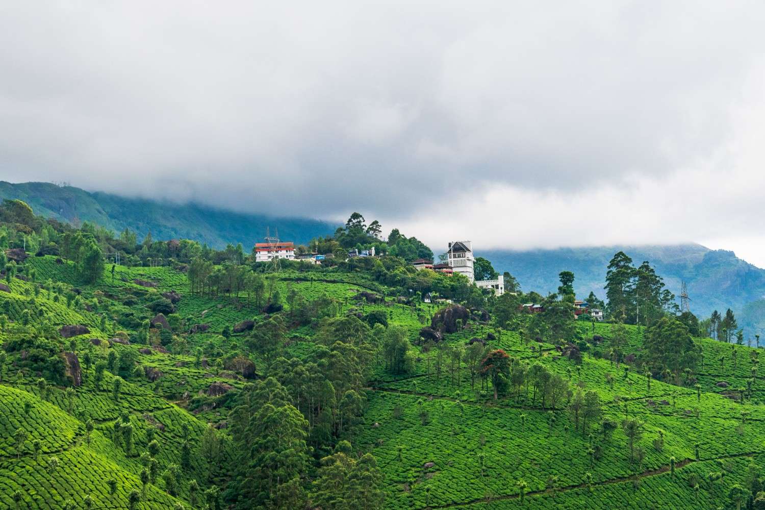 Read more about the article Ooty-Kodai 5 Days