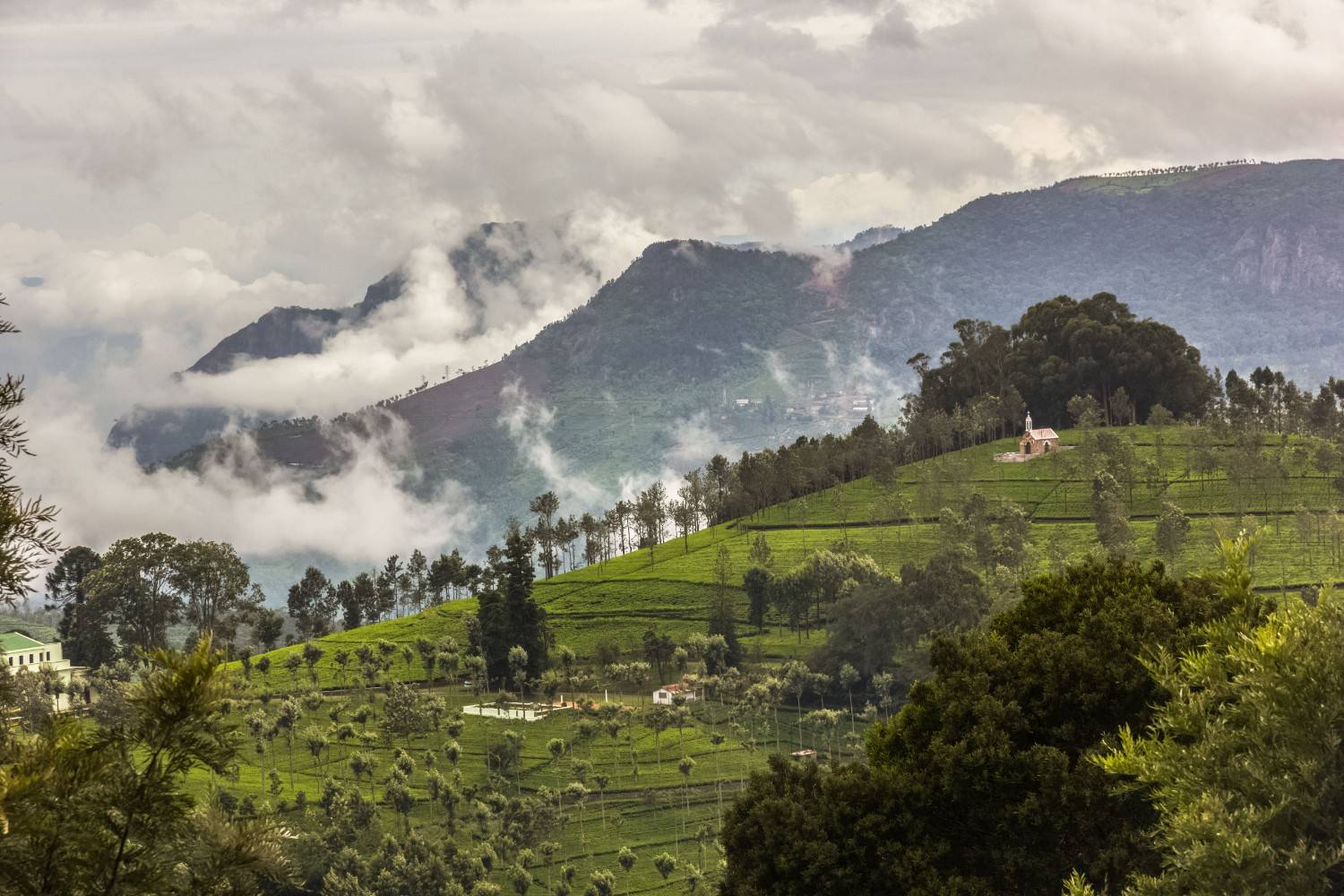 Read more about the article Beautiful Ooty 3 Days