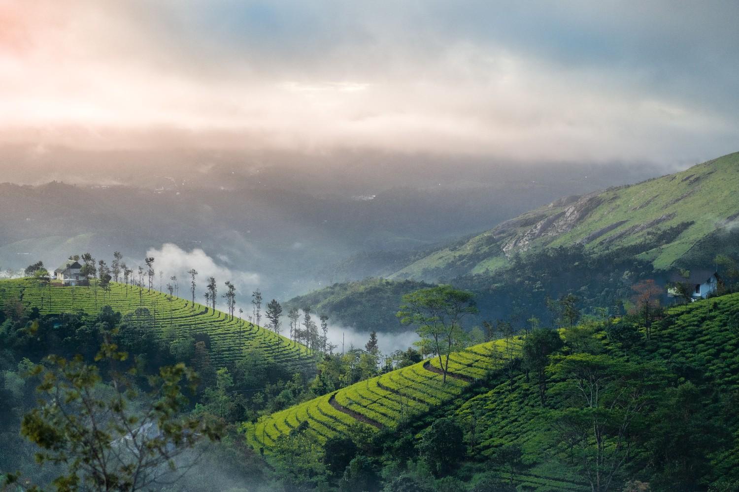 Read more about the article Kerala with Guruwayur 8 Days